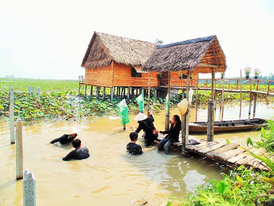 Những ngày nghỉ tết, du khách đến Vườn quốc gia Tràm Chim tăng 5 lần - 6