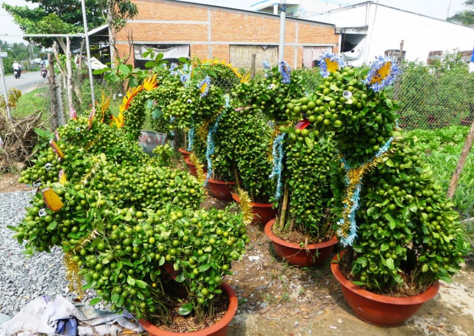 Cây kiểng hình chú chó đón năm Mậu Tuất - 3 Cặp nhỏ nhỏ từ 1,5 triệu, cặp lớn nhất từ 6 triệu trở lên