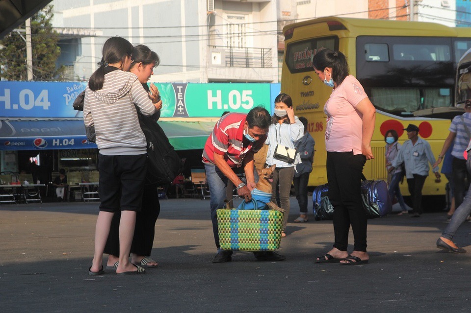 Bến xe miền Đông, phà Cát Lái thông thoáng chiều Mùng 5 Tết - 5 Một chú chó trở lại Sài Gòn sau khi cùng gia đình chủ về quê đón Tết cổ truyền