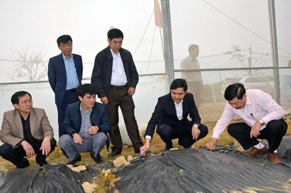 Quyết tâm giành vụ Đông Xuân thắng lợi toàn diện - 2 Chủ tịch UBND tỉnh Nghệ An Nguyễn Xuân Đường thăm mô hình dưa trong nhà lưới tại xã Nam Thanh, Nam Đàn. (Ảnh: T.L)