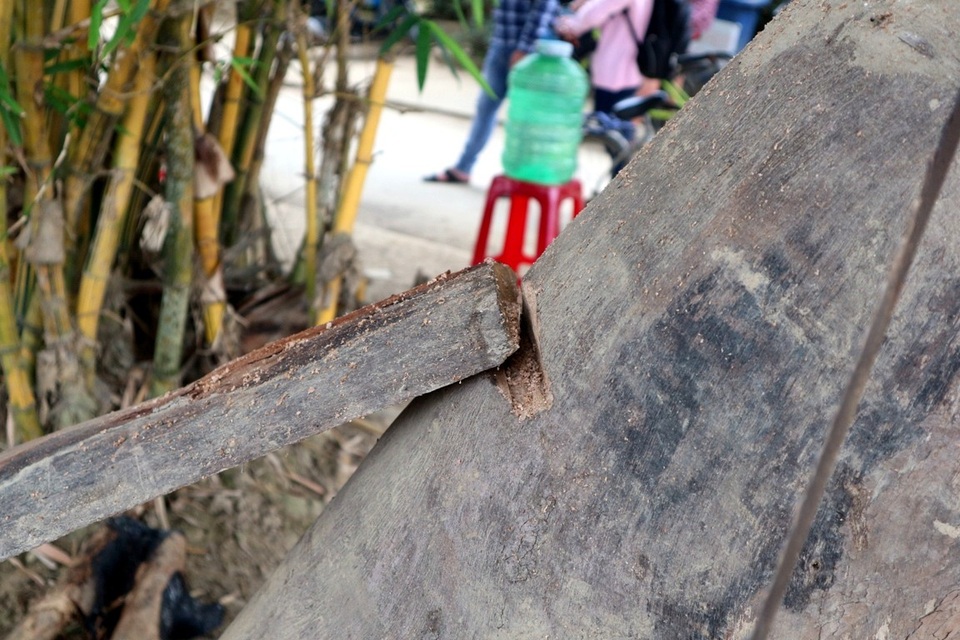 Về Hội An vui hội giỗ tổ nghề mộc Kim Bồng - 2 Về Hội An vui hội giỗ tổ nghề mộc Kim Bồng - 2