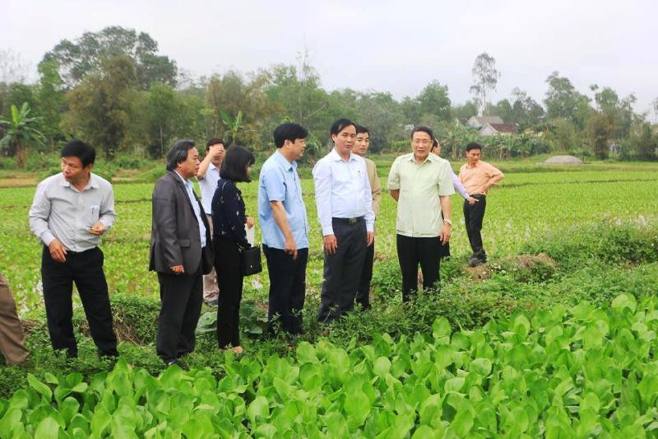 Nông dân Quảng Trị phấn khởi ra đồng sản xuất đầu năm mới - 1 Nông dân Quảng Trị phấn khởi ra đồng sản xuất đầu năm mới - 1
