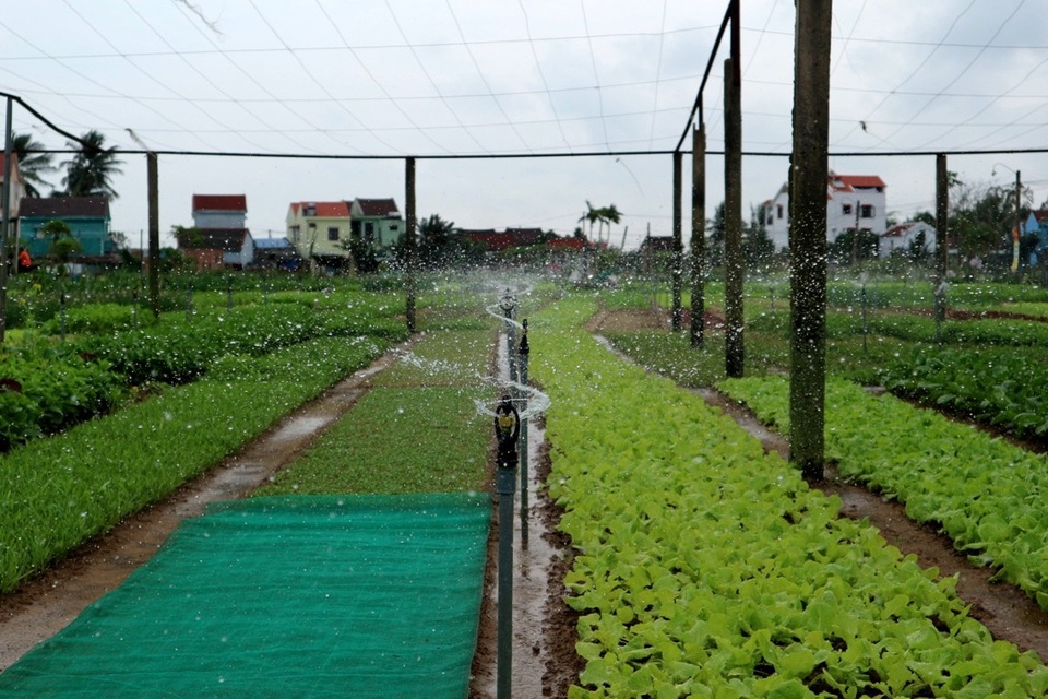 Làng rau ngày càng phát triển, là địa điểm du lịch hấp dẫn của du khách