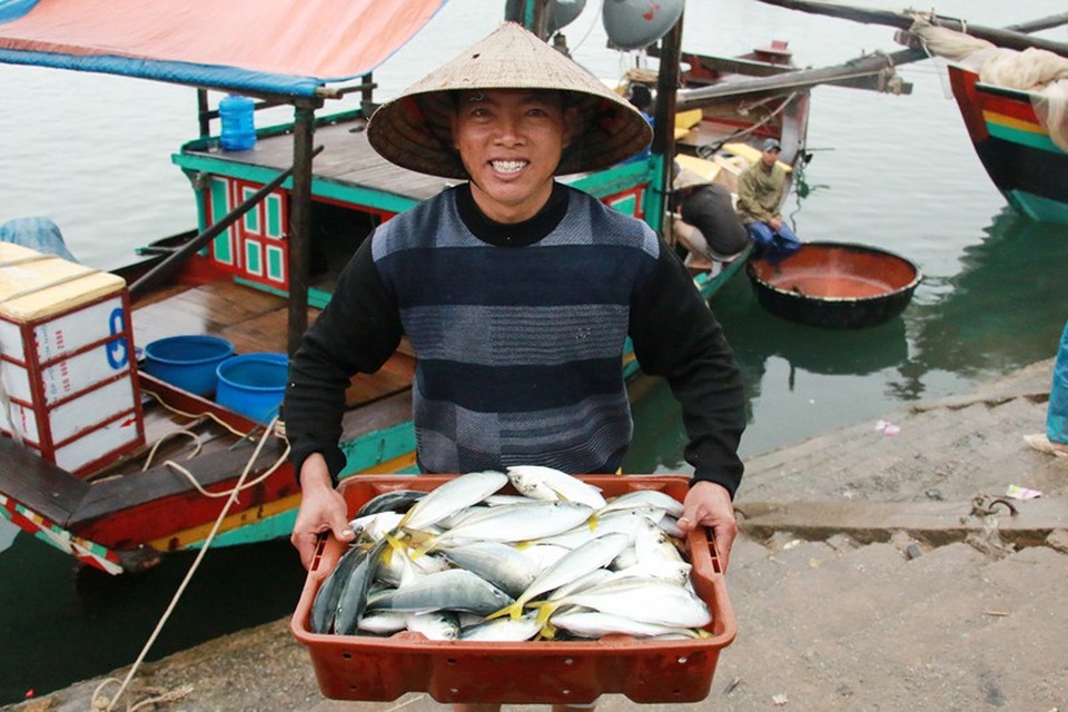 Ngư dân phấn chấn vì trúng đậm “lộc biển” đầu năm - 2 Một ngư dân tươi cười với mớ cá bạc má tươi rói