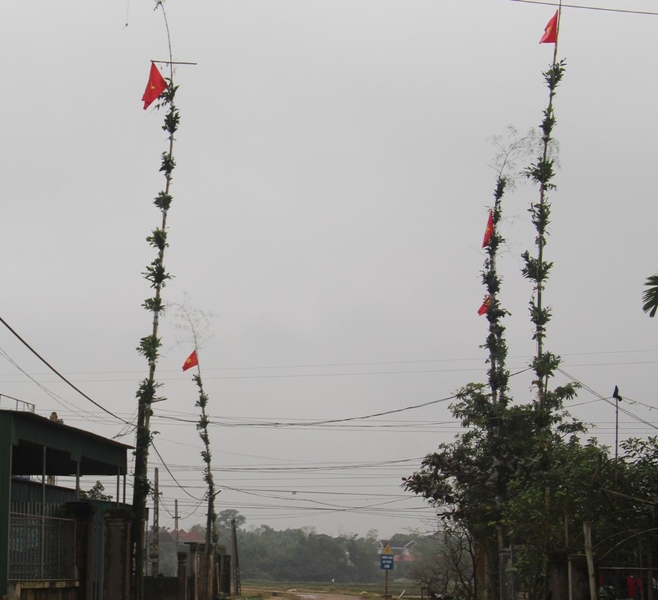 Hạ cây nêu, hai anh em bị điện giật bỏng nặng - 1
Dựng cây nêu ngày Tết là phong trào xuất hiện trở lại nhiều năm nay của người dân các tỉnh miền Trung. Do cây nêu cao quá dây điện nên tiềm ẩn nhiều rủi ro.