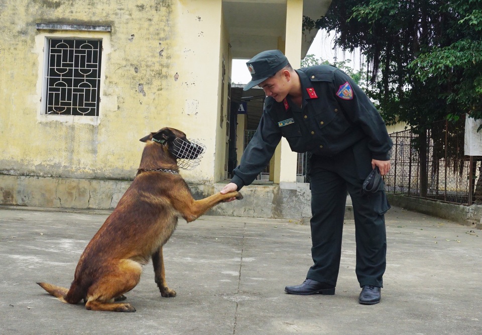 Huấn luyện chó nghiệp vụ - Gian khổ và thậm chí đổ máu! - 3 Không chỉ tinh thông nghiệp vụ, dũng mãnh khi thực hiện nhiệm vụ, những chú cảnh khuyển hết sức tình cảm và trung thành.