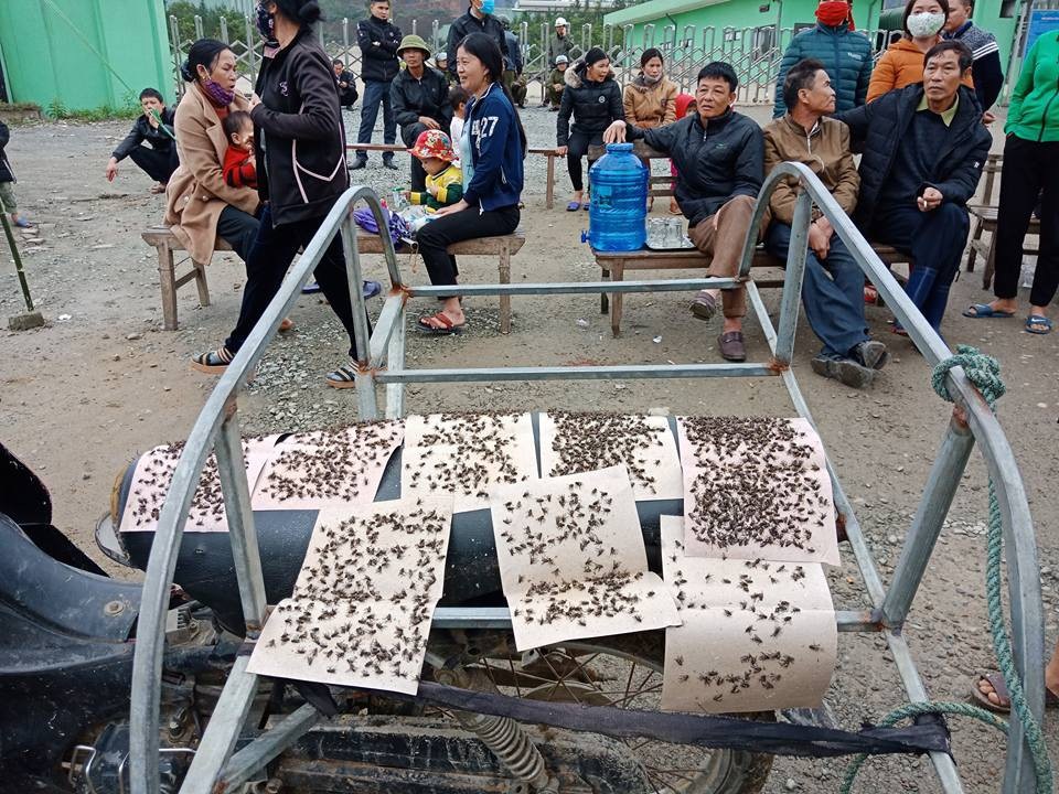 Dân mang ruồi đến phản đối nhà máy rác vì ô nhiễm - 2 Thậm chí mang ruồi đến trước cổng nhà máy để phản đối