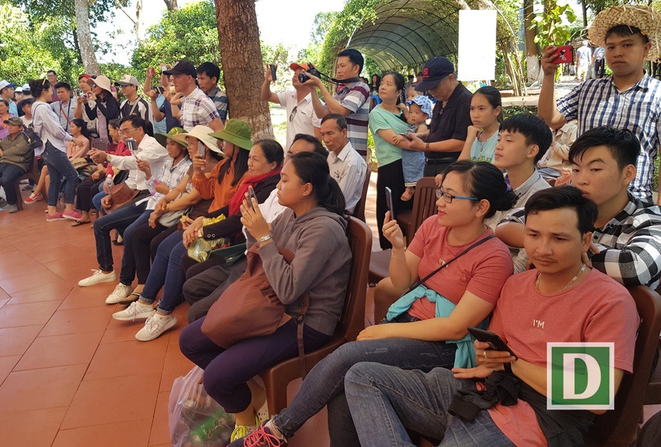 Du khách “đổ" về Bản Đôn cưỡi voi, thưởng thức cồng chiêng - 5 Du khách háo hức trước các tiết mục múa, hát đậm chất Tây Nguyên ở Bản Đôn