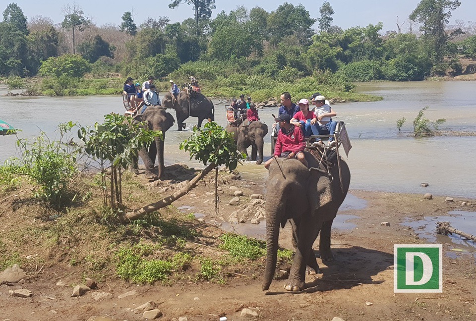 Du khách “đổ" về Bản Đôn cưỡi voi, thưởng thức cồng chiêng - 8 Du khách cưỡi voi vượt sông Sê-rê-pôk
