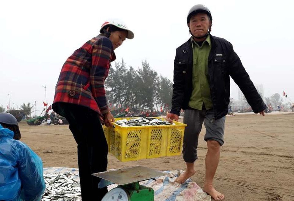 Ngư dân “mỏi tay” gỡ cá trích ngày đầu năm mới - 4 Thu thành quả lớn trong những chuyến xông biển đầu năm