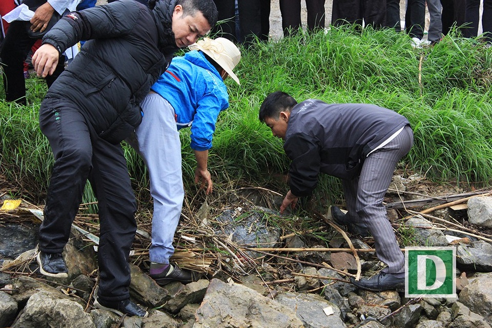 Do một số người dân không có kinh nghiệm đổ cá từ trong bao ra thúng để phóng sinh, nên một số cá bị rơi vãi ra ngoài, những người này đã bới cỏ để tìm rồi thả cá về tự nhiên.