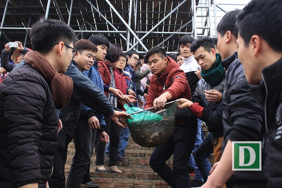 Cá phóng sinh năm nay gồm có 4 loại đó là: Cá chép, cá trắm, cá rô phi và cá trê. Trong số đó còn có cả ốc và lươn.