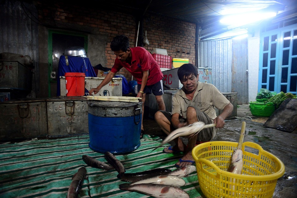 Phố cá lóc nướng hoạt động thâu đêm ngày vía Thần Tài - 3 Cá lóc được lấy từ chợ đầu mối Bình Điền.