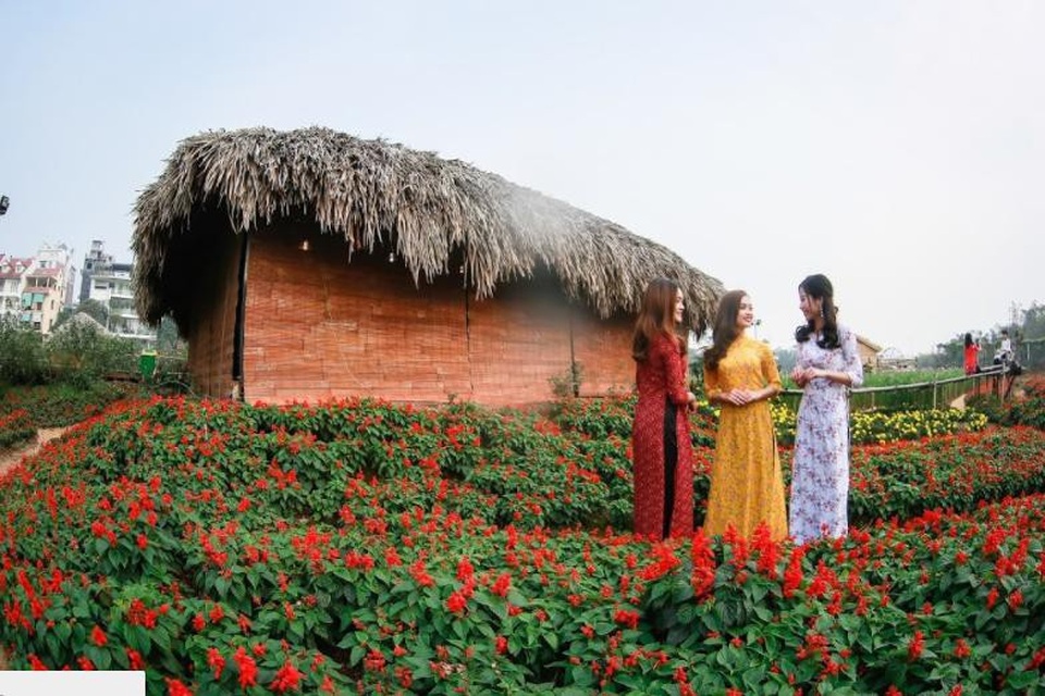 Du xuân – đừng quên ghé thăm “Thành phố ngàn hoa giữa lòng Hà Nội” - 2 Những thảm xác pháo xanh, xác pháo đỏ vươn mình khoe sắc
