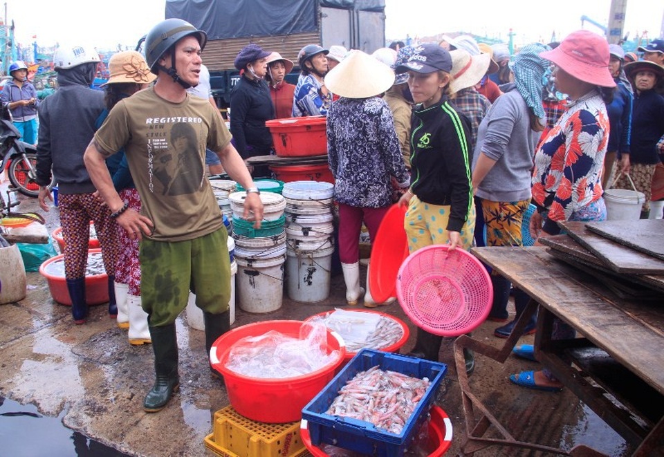 Sau Tết, hàng thủy sản bán chạy như tôm tươi, lái buôn “giành” nhau mua - 1 Lái buôn giành mua thủy hải sản mỗi khi ghe tàu cập cảng bán cá.