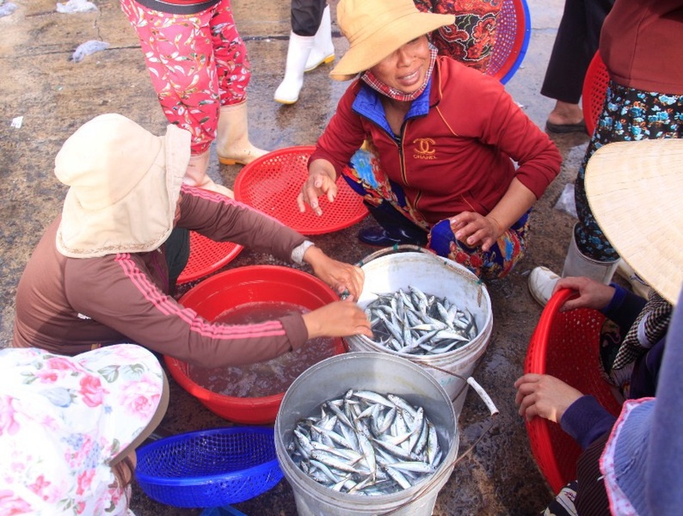 Sau Tết, hàng thủy sản bán chạy như tôm tươi, lái buôn “giành” nhau mua - 4 Những mẻ cá nục tươi rói...