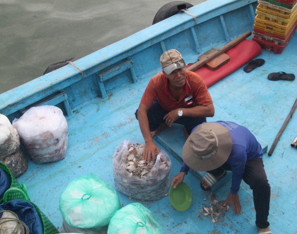 Sau Tết, hàng thủy sản bán chạy như tôm tươi, lái buôn “giành” nhau mua - 3 Các ghe tàu công suất nhỏ hành nghề khai thác gần bờ đều có lãi sau một đêm khai thác.