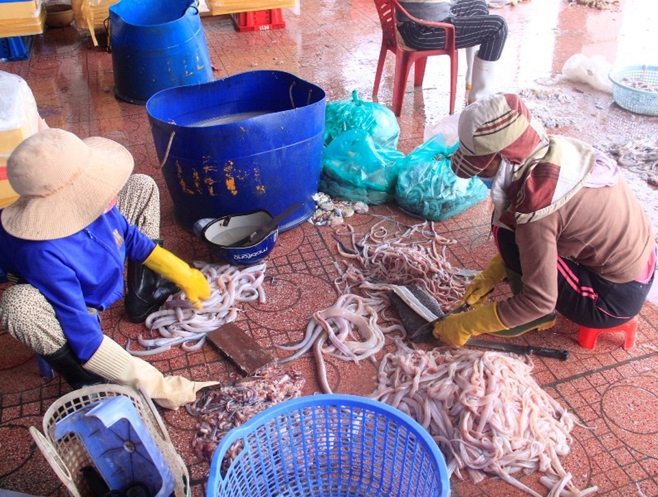 Sau Tết, hàng thủy sản bán chạy như tôm tươi, lái buôn “giành” nhau mua - 6 Chế biến tại chỗ trước khi bán cho lái buôn.