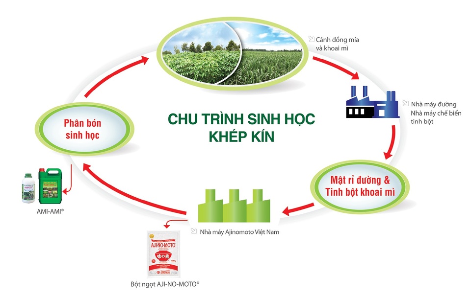 
Chu trình sinh học khép kín được Ajinomoto Việt Nam áp dụng trong quá trình sản xuất nhằm hướng đến việc giữ gìn và phát triển nguồn thực phẩm, tạo sự cân bằng trong tự nhiên.
