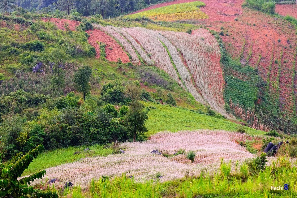 Hà Giang: Nơi bốn mùa bạn đều có thể ghé thăm! - 4 Hà Giang: Nơi bốn mùa bạn đều có thể ghé thăm! - 4