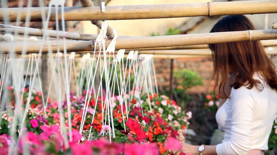 “Vườn hoa Đà Lạt giữa phố” điểm đến hấp dẫn khi du khách đến Phú Yên - 9