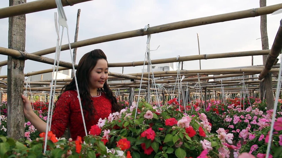 
Giá mỗi chậu hoa từ 80.000-100.000 đồng, khách đến đây chụp ảnh, có thể chọn cho mình một chậu hoa đẹp ưng ý mua về.
