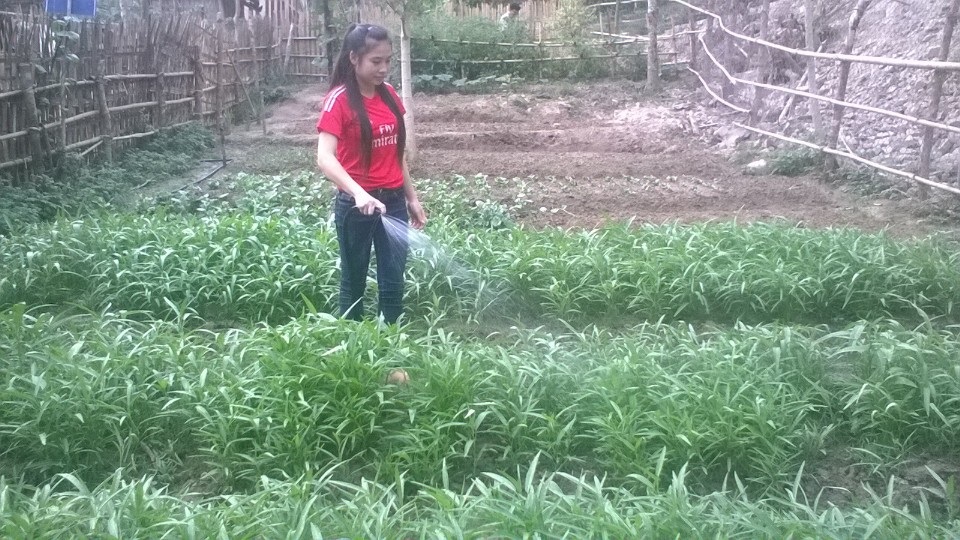 Con chữ mùa xuân - 2
Học sinh chăm sóc vườn rau của trường để cải thiện bữa ăn hằng ngày.