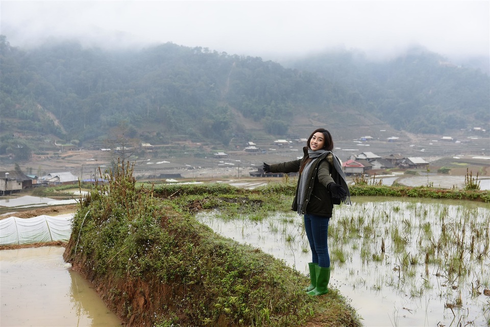 Trong chương trình thời sự tổng hợp Toàn cảnh 24H, số phát sóng ngày 2/2/2018 trên kênh VTV9, khán giả truyền hình bất ngờ nhận ra Hoa hậu Mỹ Linh trong một phóng sự ngắn.