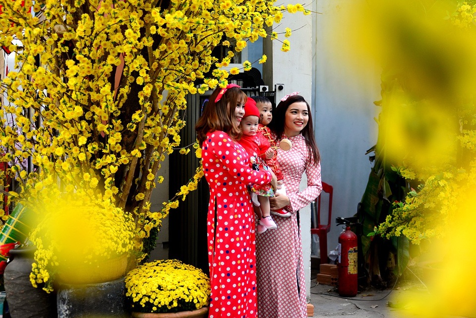 Các thiếu nữ tạo dáng bên hoa mai vàng.