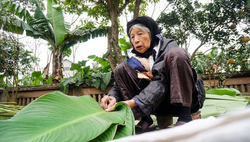 Về thủ phủ lá dong lớn nhất Hà Nội xem người dân "hái tiền" cận Tết - 7 Về thủ phủ lá dong lớn nhất Hà Nội xem người dân "hái tiền" cận Tết - 7