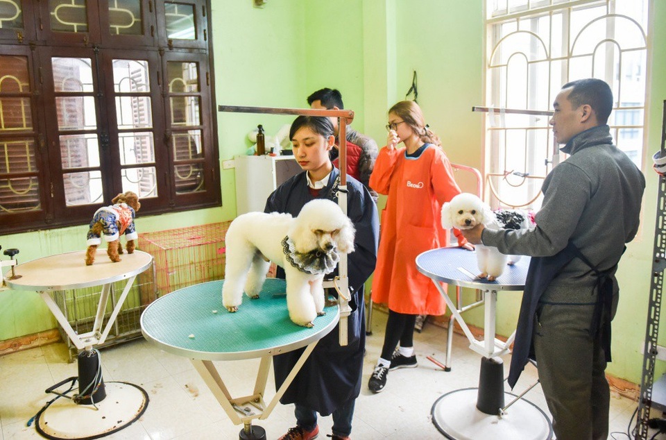 Bỏ tiền triệu cho cún cưng đi... spa “làm đẹp” đón Tết - 1
14h một buổi chiều giáp Tết, tại spa cho cún cưng của anh Nguyễn Duy Đạt, không khí huyên náo, rộn ràng hơn thường ngày.
