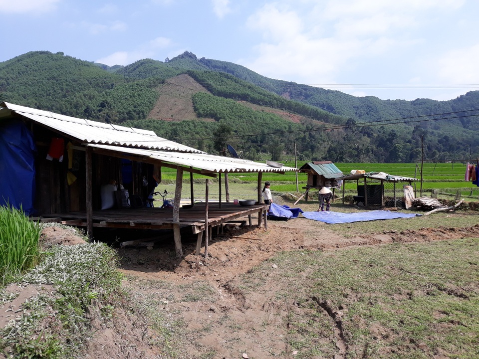Người dân bị lở núi, mất nhà dựng lều tạm giữa đồng đón Tết - 1 Người dân xã Ba Dinh dựng lều tạm giữa đồng ruộng để có nơi đón Tết