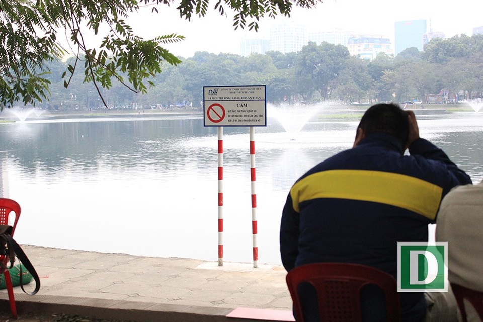 "Mất một con thiên nga chắc anh em chúng tôi cũng mất tết" - 1 Công nhân phải luân phiên ngày, đêm trông giữ 12 con chim thiên nga ở hồ Thiền Quang (Ảnh: Trần Thanh)