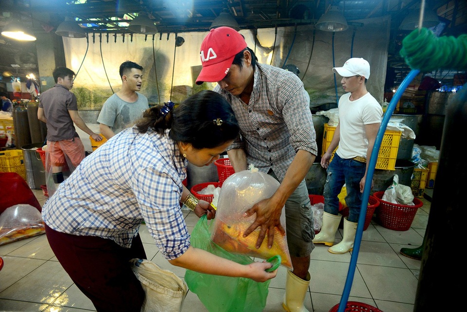 Các tiểu thương từ khắp thành phố và vùng lân cận đổ về mua cá chép để bán lẻ.