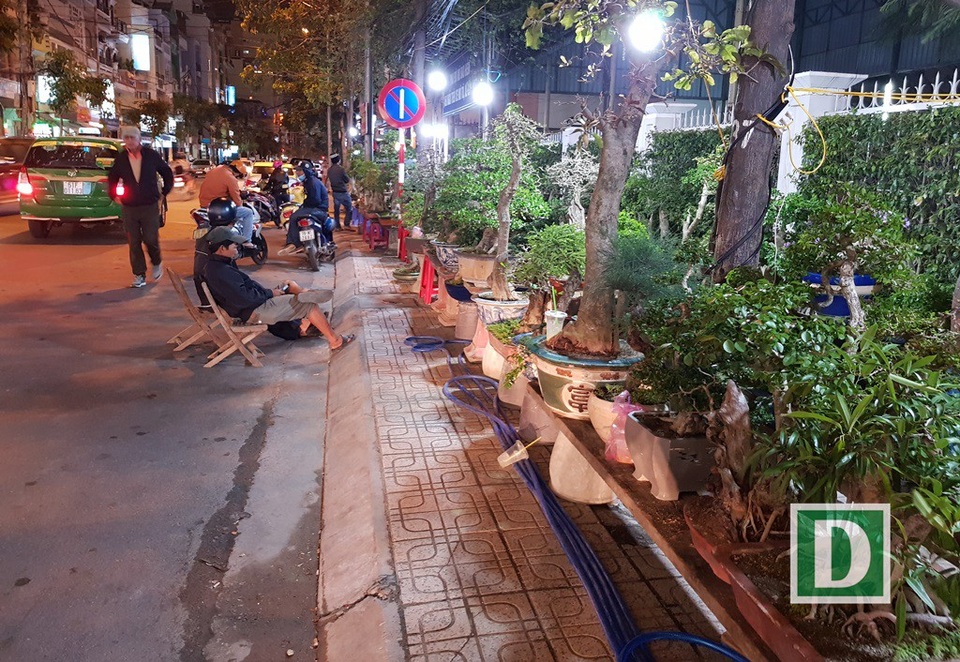 Người bán mai An Nhơn thức “trắng đêm” chờ khách ở Nha Trang - 9 Người bán mai An Nhơn thức “trắng đêm” chờ khách ở Nha Trang - 9