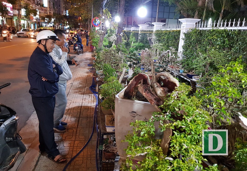 Người bán mai An Nhơn thức “trắng đêm” chờ khách ở Nha Trang - 10 Hàng bonsai vẫn còn nguyên và một vài khách dạo phố xem cây cảnh ngày giáp Tết