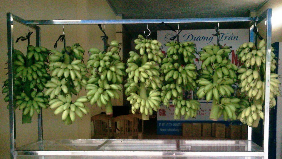 Giá cả buồng chuối ngự tiến vua giao động từ 500 nghìn đến hơn 1 triệu tùy vào hình thức