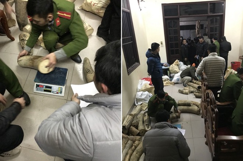 Người phụ nữ cố thủ trong nhà cùng gần 1 tấn ngà voi - 1