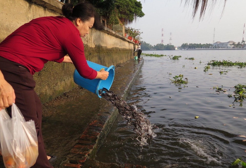 Cá chép tấp nập đưa ông Táo về trời - 9
Ngoài cá chép, người dân còn thả phóng sinh nhiều loại cá khác