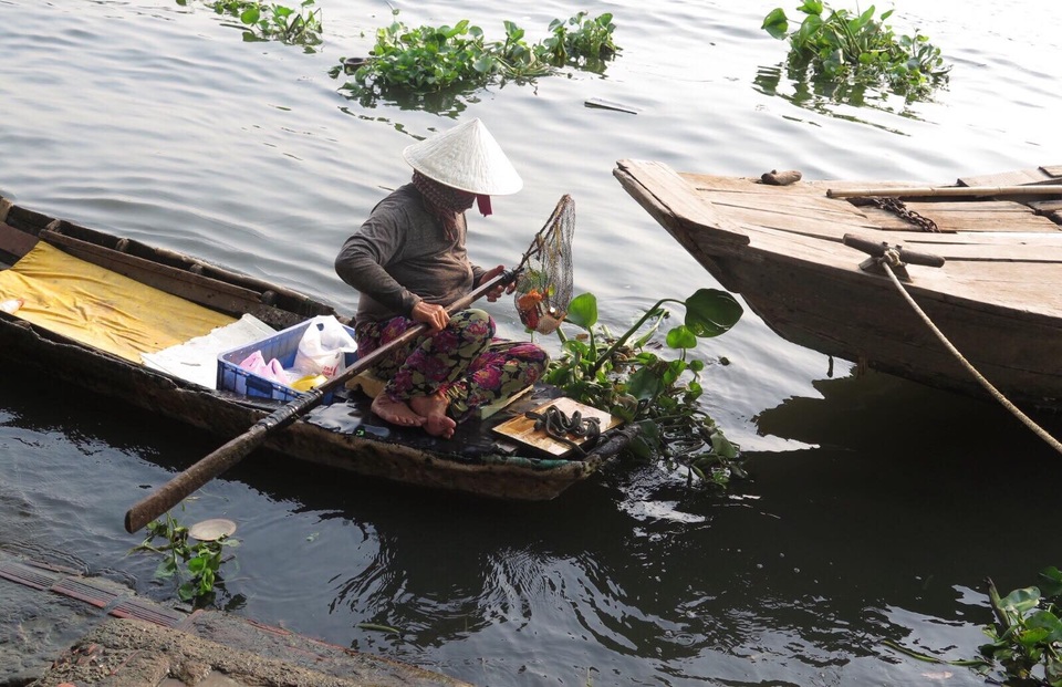Cá chép tấp nập đưa ông Táo về trời - 12
Một người phụ nữ dùng vợt bắt lại số cá chép vừa được người dân thả ra.