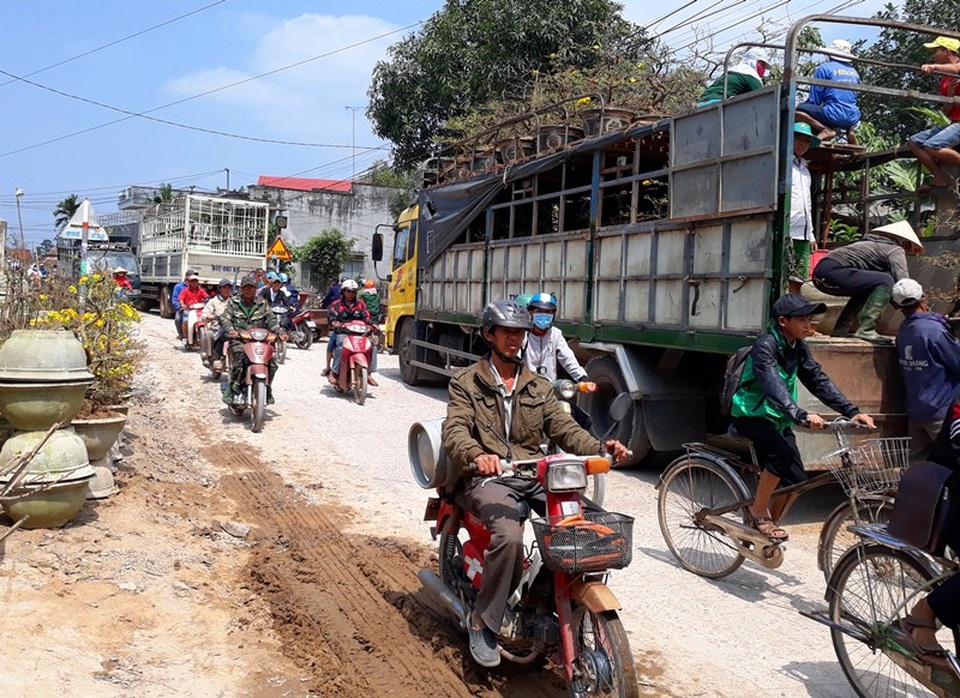Làng mai lớn nhất miền Trung thắng lớn - 3 Đường về làng mai lớn nhất miền Trung nhộn nhịp ngày cận Tết.