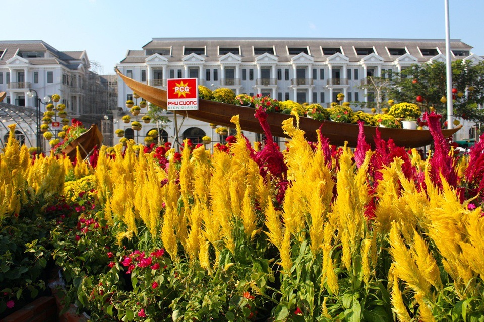 Chiêm ngưỡng đường hoa Xuân ở thành phố biển miền Tây - 3 Chiêm ngưỡng đường hoa Xuân ở thành phố biển miền Tây - 3
