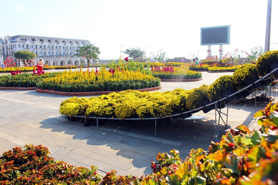Chiêm ngưỡng đường hoa Xuân ở thành phố biển miền Tây - 4 Chiêm ngưỡng đường hoa Xuân ở thành phố biển miền Tây - 4