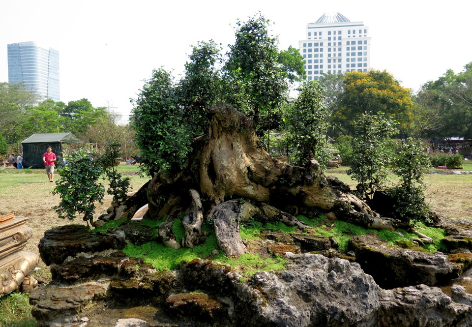 Hội hoa xuân Phú Mỹ Hưng 2018 sẽ kéo dài đến ngày 29 tết Nguyên đán 2018.