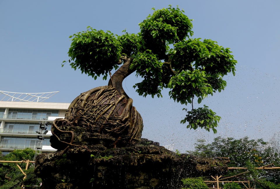 Chiêm ngưỡng cặp sanh hình kim quy cõng rồng “hét” giá 4 tỷ đồng ở Sài Gòn - 9