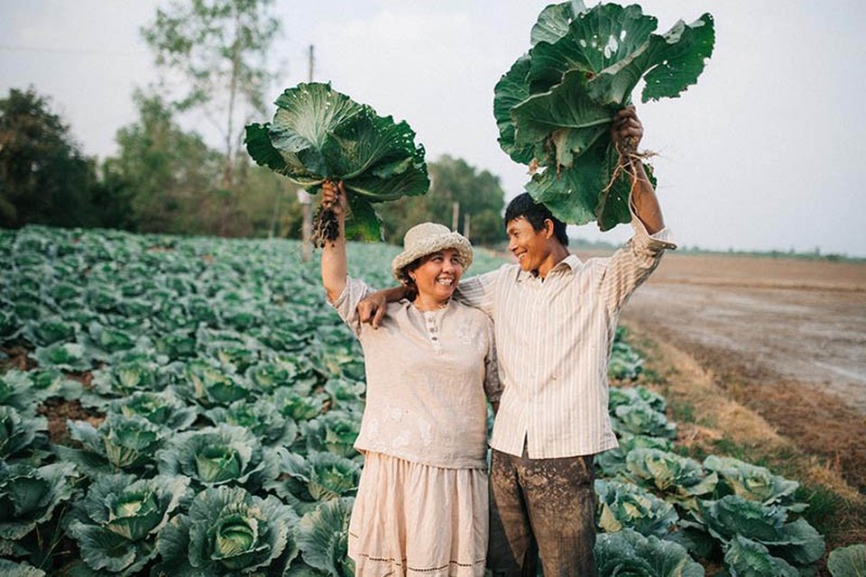 Hạnh phúc giản dị của ba và mẹ trên cánh đồng bắp cải - 11