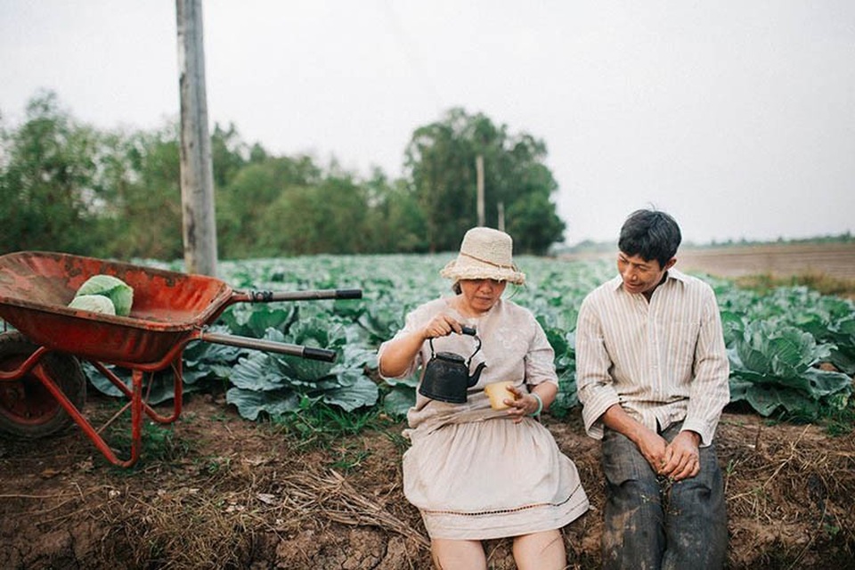 Hạnh phúc giản dị của ba và mẹ trên cánh đồng bắp cải - 14