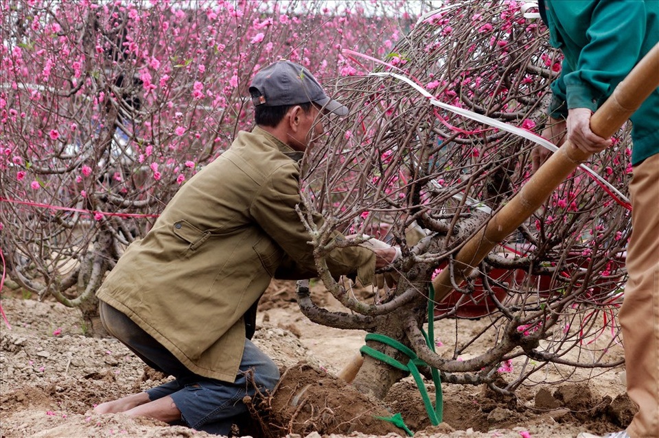 
Thu nhập của họ trung bình mỗi ngày khoảng hơn 1 triệu đồng, lương tính theo cây làm ra cây nhỏ được 100 nghìn cây to thì được 150 nghìn mỗi ngày làm được hơn 10 cây.
