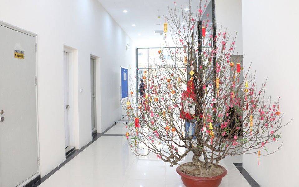 The Vesta: 488 căn hộ đã được bàn giao trước Tết 2018 - 4 Không khí mùa xuân đã về đến hành lang mỗi tầng