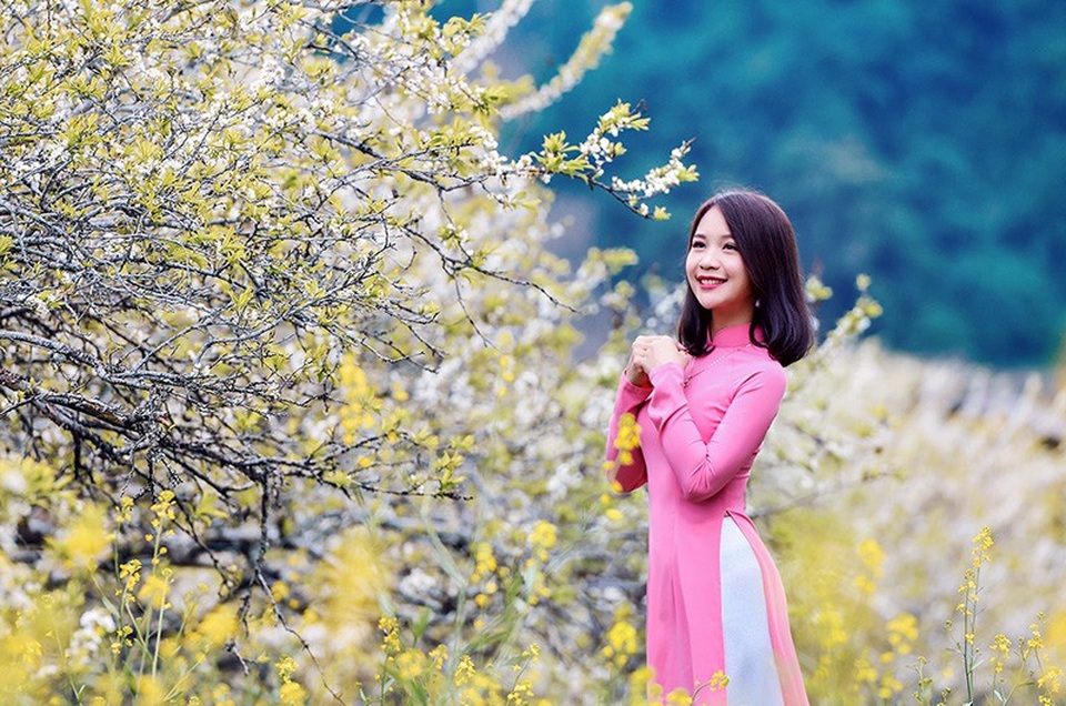 Xuân về đẹp tuyệt giữa rừng hoa mận trắng Mộc Châu - 9 Xuân về đẹp tuyệt giữa rừng hoa mận trắng Mộc Châu - 9